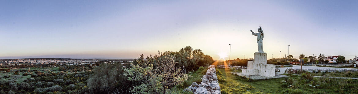 Belvedere Belvedere