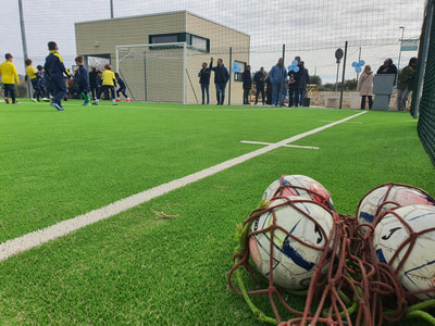 Immagine: 20250223_104332(1)