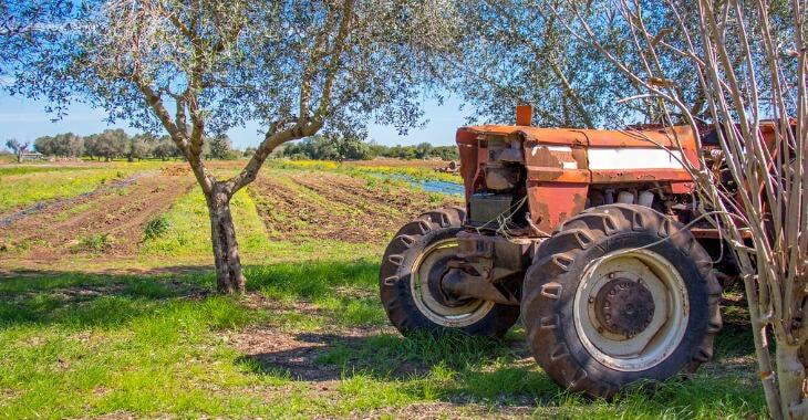 Immagine: Foto trattore_agricoltura