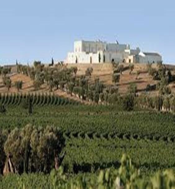 Immagine: Masseria Amastuola