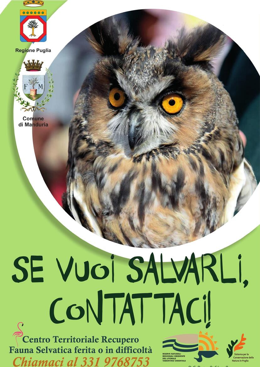 Immagine: Se vuoi salvarli contattadci